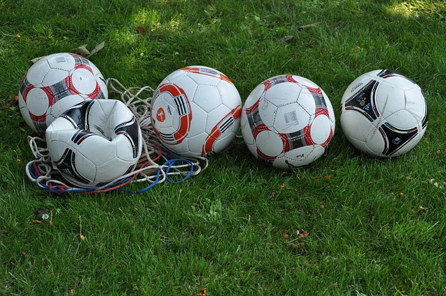 img3.webp